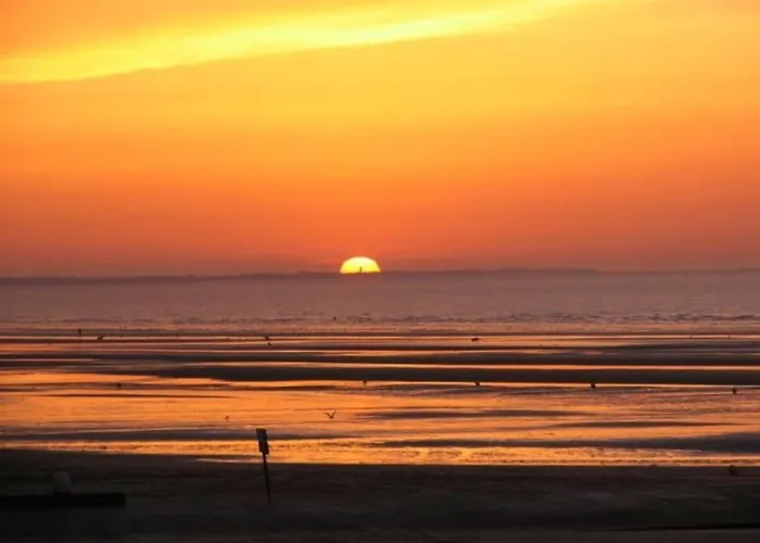 Flat 400 M From & Center * Cabourg