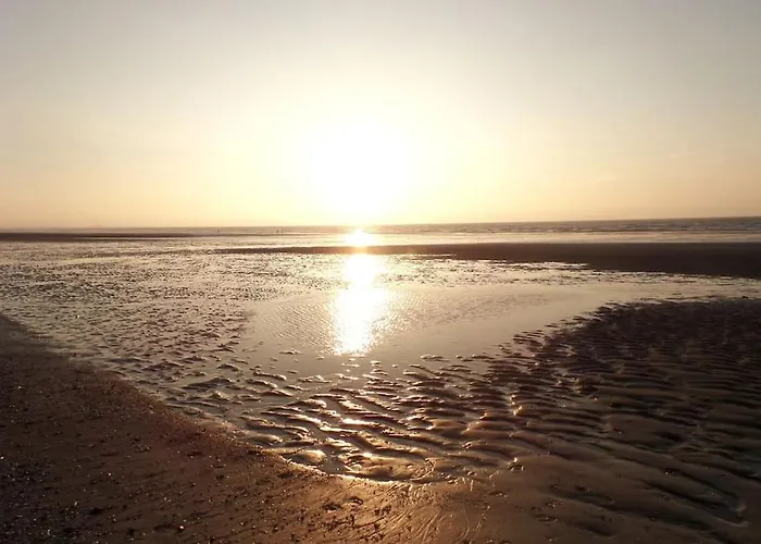 Flat 400 M From & Center Daire *